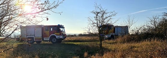 Ungew&ouml;hnlicher Einsatz (Foto: nnz)