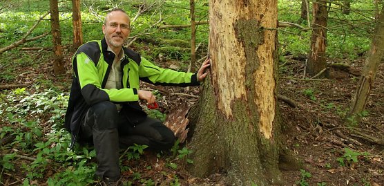 Im Fr&uuml;hjahr waren wir mit dem Leiter des Forstamtes Bleicherode, Gerd Thomsen, schon einmal im Wald unterwegs (Foto: agl)