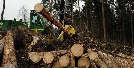 Aufr&auml;umen (Foto: Wiethoff)