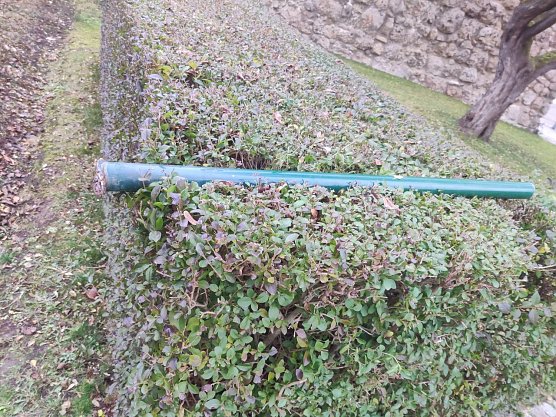 Sinnlose Zerst&ouml;rung auf dem Petersberg (Foto: Peter Blei)