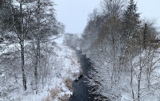 Blick von der Br&uuml;cke in Tanne im Harz (Foto: oas)
