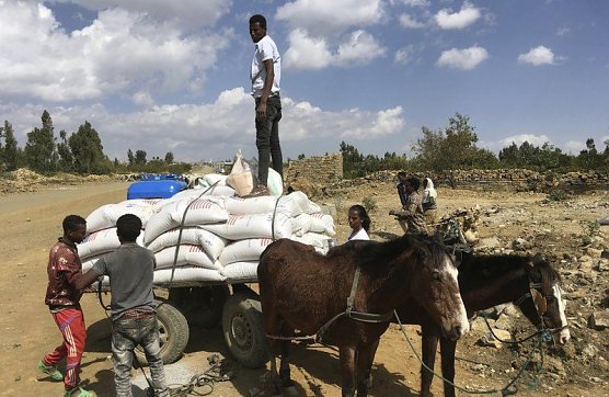 Auf diesem Foto vom 12. Januar 2021, das von den katholischen Hilfsdiensten zur Verf&uuml;gung gestellt wurde, laden die vom Konflikt in Tigray betroffenen Menschen die von USAID und den katholischen Hilfsdiensten bereitgestellte Nahrungsmittelhilfe auf einen Eselskarren, um sie zu ihrem Haus au&szlig;erhalb von Mekele, &Auml;thiopien, zu transportieren. (Foto: privat)