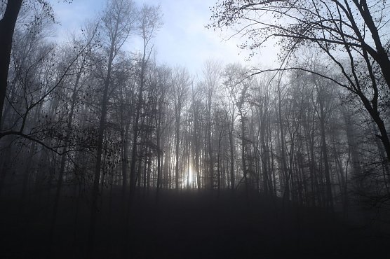 Wetterbild (Foto: agl)