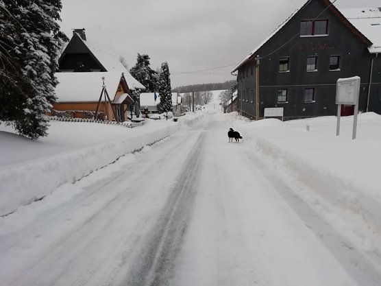 In Sophienhof r&uuml;ckte man dem Schnee gestern mit der Fr&auml;se zu Leibe (Foto: W. J&ouml;rgens)