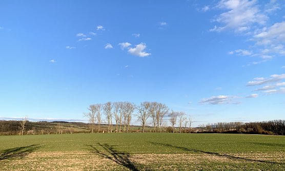 Blick in die Windl&uuml;cke (Foto: oas)