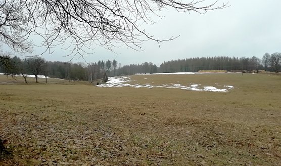 Winter ade auch in den H&ouml;henlagen des Harzes (Foto: W.J&ouml;rgens)