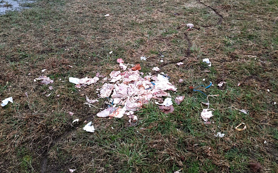 Entsorgte Wurstreste bei Steigerthal (Foto: Sabine Schneider, Jagdgenossenschaft )