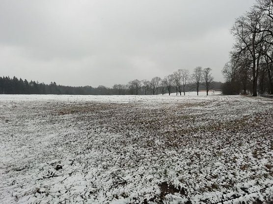 Tr&uuml;b und frisch war es heute morgen auch in Sophienhof (Foto: W. J&ouml;rgens)