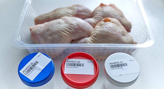 Hähnchenkeulen im Test (Foto: Stiftung Warentest) Hähnchenkeulen im Test (Foto: Stiftung Warentest)