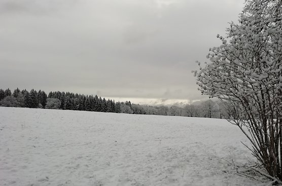 Unser letztes Winterbild - versprochen! Oberharzer Landschaft heute morgen (Foto: W.Jörgens) Unser letztes Winterbild - versprochen! Oberharzer Landschaft heute morgen (Foto: W.Jörgens)