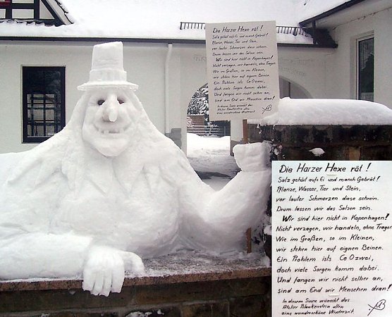 Streusalzhexe (Foto: M. Blankenstein)