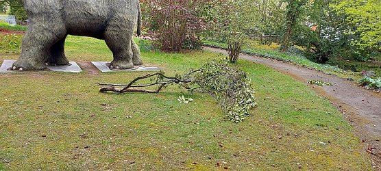 Vandalismus im Meyenbuirg-Park (Foto: Stadtverwaltung Nordhausen)