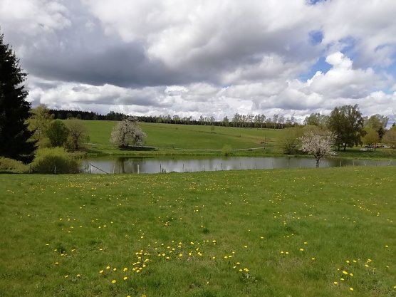 Wolkig in der H&ouml;he - unser Wetterbild kommt heute aus Sophienhof (Foto: W. J&ouml;rgens)