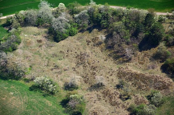 Heidefl&auml;che auf den Pfaffenk&ouml;pfen bei Steigerthal    (Foto: Detlef Stremke)