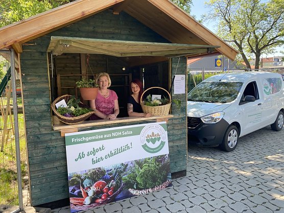 Frisch vom Feld - der &ouml;kologische Gartenbau des Horizont bietet wieder Frisches aus der Region (Foto: Horizont)