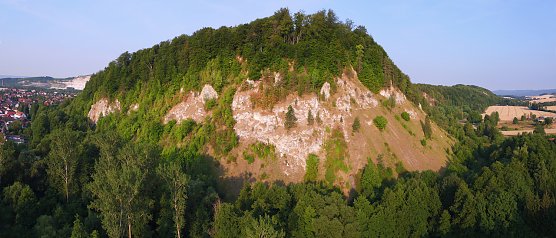 Der M&uuml;hlberg bei Niedersachswerfen (Foto: S.Staubitz)