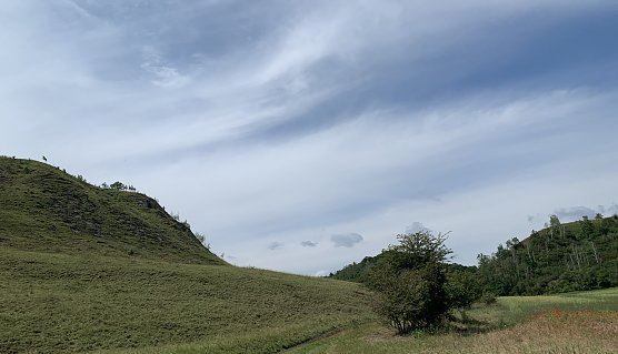 Bei Auleben am Stausee (Foto: oas)