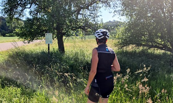 In die N&auml;he des Schildes zu gelangen, gleicht einem Abenteuer. (Foto: psg)
