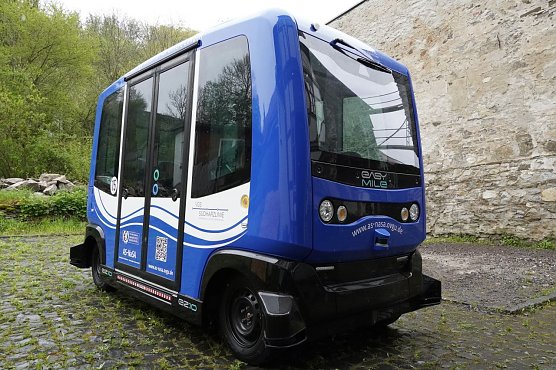 Thyra Floh in Stolberg im Harz (Foto: ovgu)