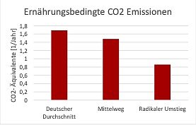 Grafik (Foto: V.wesselak)