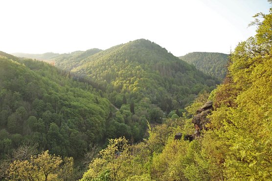 S&uuml;dharzer Berge mit M&ouml;nch-Felsen (Foto: P. Schneller)