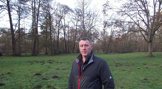 Vor zwei Jahren: Stadtf&ouml;rster Axel Axt im Stadtpark. Noch kann er sich der stattlichen Erlen, Ulmen, Eschen und alten Pappeln erfreuen. Ihm schmerzt der Verlust einstiger belaubter und benadelter Riesen, die der Trockenheit zum Opfer fielen. Die ehemals beeindruckende Blutbuche rechts im Bild steht heute nicht mehr (Foto: kunk)