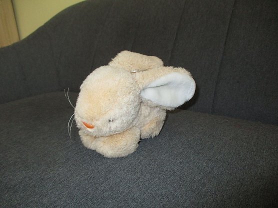 Der verlorene Hase wartet auf seinen Besitzer bei Frau Thielbeer (Foto: B. Thielbeer)