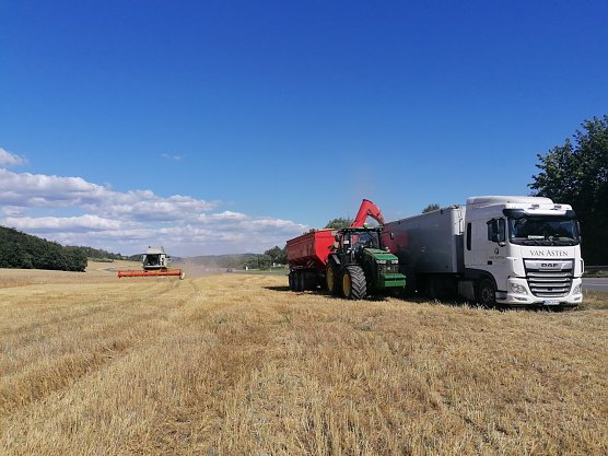Die Getreideernte steht bevor (Foto: Van Asten Group)