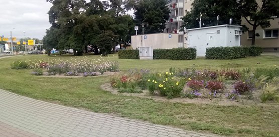 Buntes Nordhausen (Foto: Anton Adlerauge)