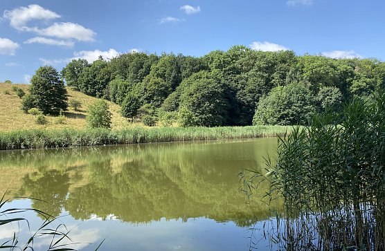 Hirschenteich bei Nordhausen-Salza (Foto: oas) Hirschenteich bei Nordhausen-Salza (Foto: oas)