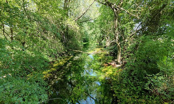 An der Salzaquelle (Foto: P.Blei)