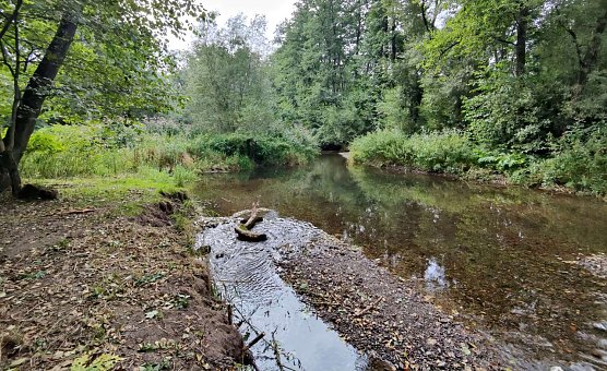 Wo sich Wiede und Zorge begegnen (Foto: P.Blei) Wo sich Wiede und Zorge begegnen (Foto: P.Blei)