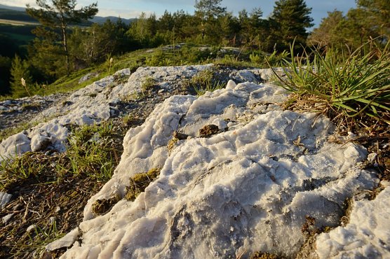 Bizarr, ungew&ouml;hnlich und sch&ouml;n - der Landschaftspflegeverband sucht die sch&ouml;nsten Bilder aus dem Gipskarst (Foto: Thomas Stephan)