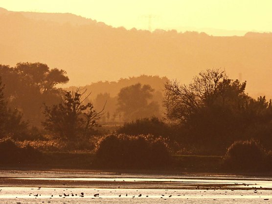 Unser Wetterbild kommt heute von Peter Blei, der diese sch&ouml;ne Aufnahme am Stausee Kelbra gemacht hat (Foto: Peter Blei)
