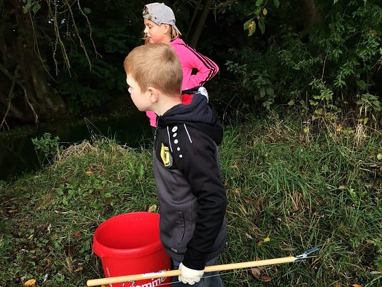 Kleine Boxer auf M&uuml;llsuche (Foto: BSG Altstadt 05)