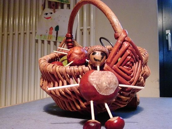 Am Freitag wird im KILA mit Kastanien gebastelt (Foto: Frank Tuschy)