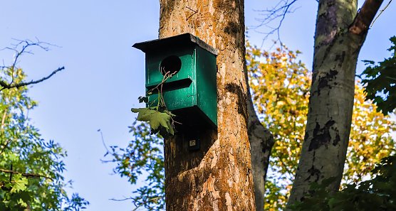 Nistk&auml;sten in Unordnung (Foto: privat)