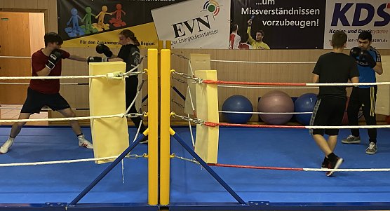 Nordhausens Boxer k&auml;mpfen nicht mehr gemeinsam (Foto: oas)