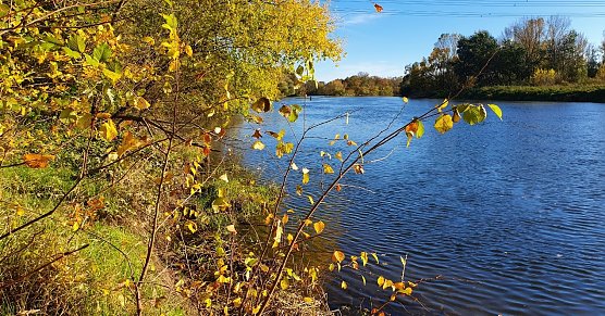 Nach 110 Kilometern wird auf einem der landschaftlich sch&ouml;nsten Abschmitte der Tour die M&uuml;ndung der Wei&szlig;en Elster in die Saale s&uuml;dlich von Halle erreicht. (Foto: B.Schwarzberg)