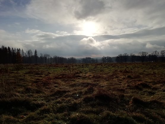 In Sophienhof zeigte sich der Herbst heute auch von seiner schönen Seite (Foto: W. Jörgens) In Sophienhof zeigte sich der Herbst heute auch von seiner schönen Seite (Foto: W. Jörgens)