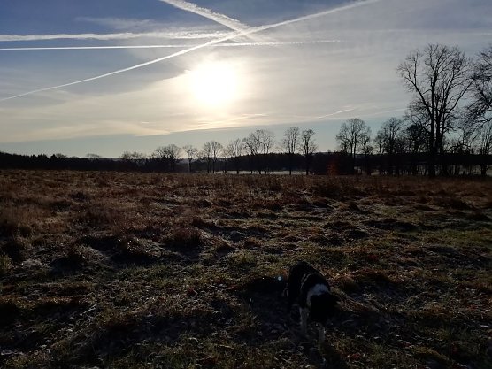 Frost in den Hochlagen bis weit in den Vormittag  (Foto: W.J&ouml;rgens)
