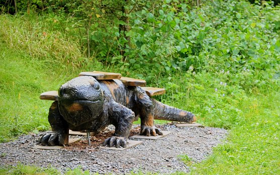 Die Feuersalamanderbank steht unweit des Regenborns (Foto: Susanne Schedwill)