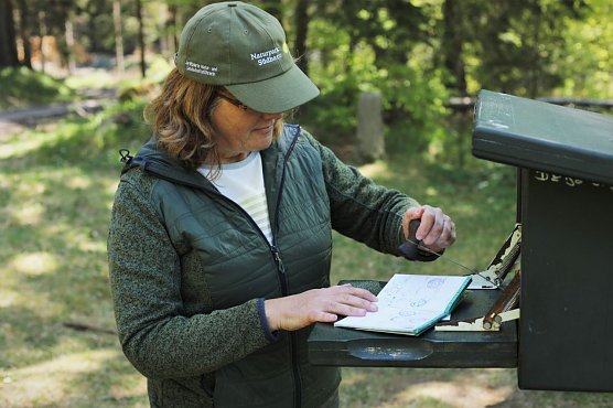 Stempel am Dreiherrenstein (Foto: Paula Schneller) Stempel am Dreiherrenstein (Foto: Paula Schneller)
