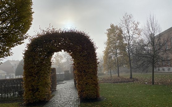 Neblige Kurpromenade in Bad Langensalza (Foto: oas) Neblige Kurpromenade in Bad Langensalza (Foto: oas)