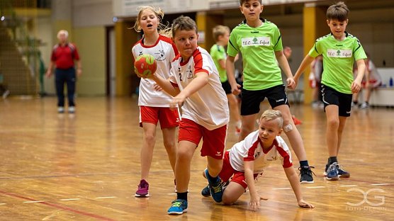 Erfolgreicher Nordh&auml;user Handballnachwuchs (Foto: NSV)
