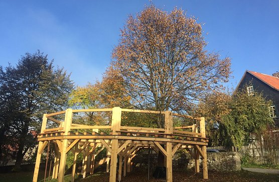 Die Tanzlinde zu Liebenrode (Foto: R.Englert)