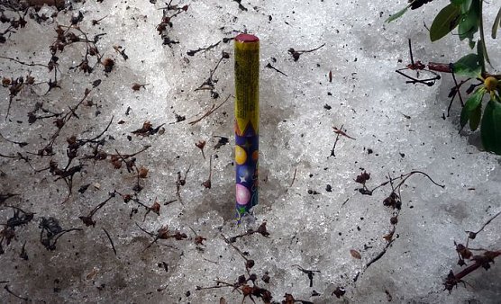 Weg damit (Foto: nnz)