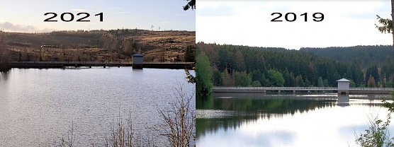 Ein trauriger Harz (Foto: Peter Blei)