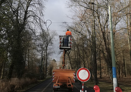 Reparatur der gerissenen Oberleitung in der Leimbacher Stra&szlig;e (Foto: Verkehrsbetriebe Nordhausen)