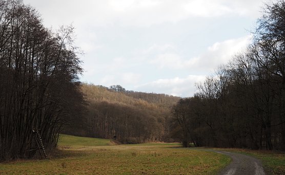 Bei der Ebersburg (Foto: J.Friedling)